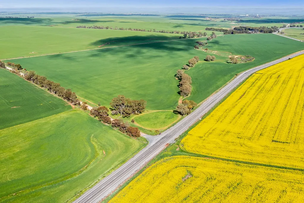 Brinkworth  Broadacre Cropping / Grazing in the Clare Valley