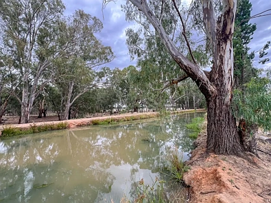 182 Cudgel Road, Narrandera, NSW 2700, 6房, 1浴, Lifestyle Property
