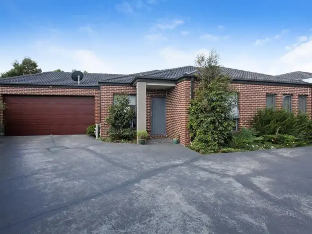 Modern Stunner Unit