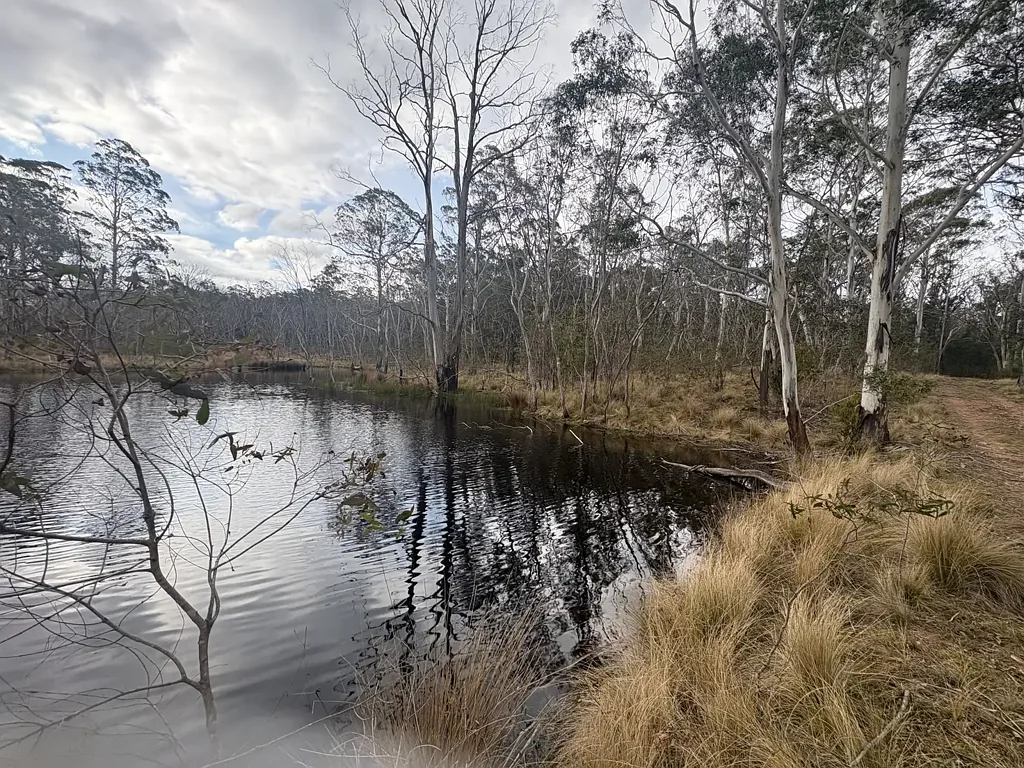 Snowball  Hunting, 4wd,motorbike,hike-it's all yours