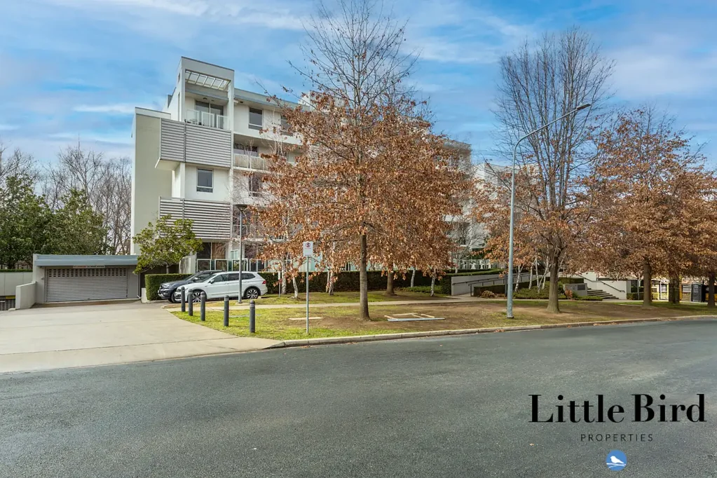 Spacious Barton Apartment with Two Car Space