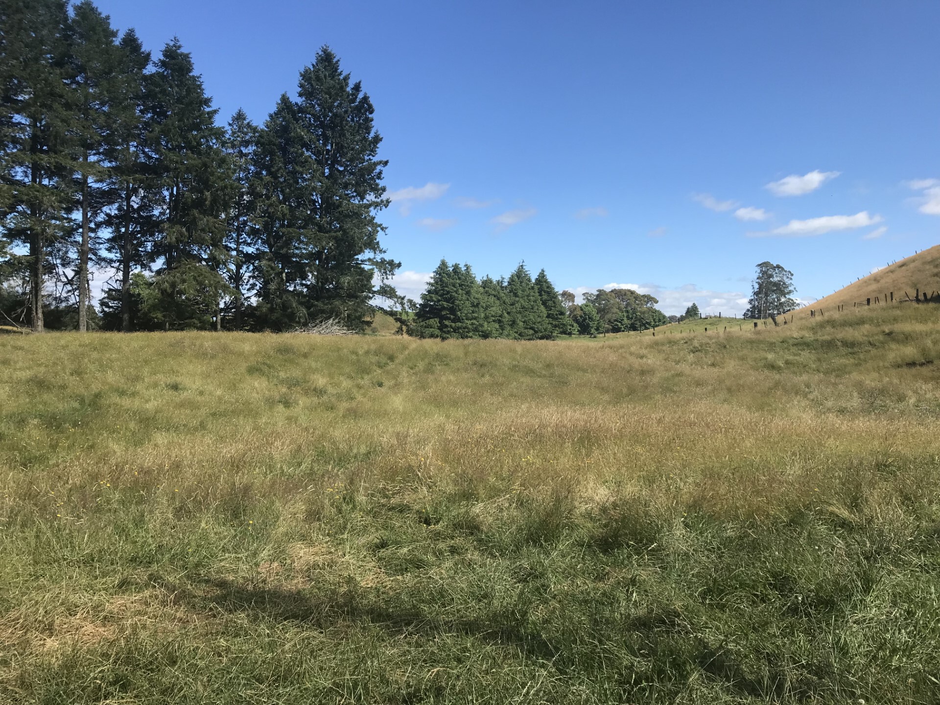 3244 Poihipi Road, Mangakino, Taupo, 3 રૂમ, 1 બાથરૂમ, Lifestyle Property