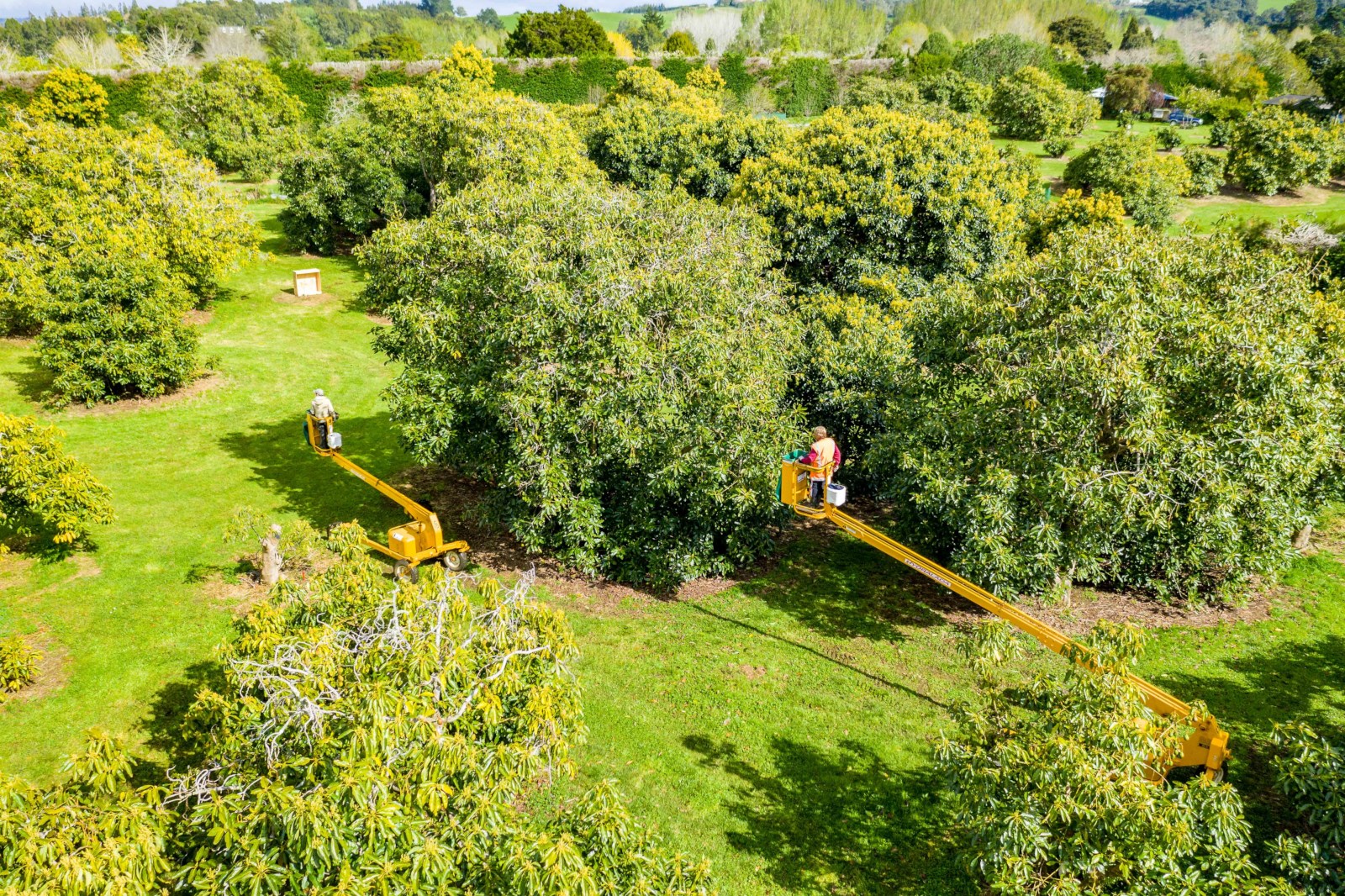 266 Cemetery Road, Maunu, Whangarei, 3 Kuwarto, 0 Banyo