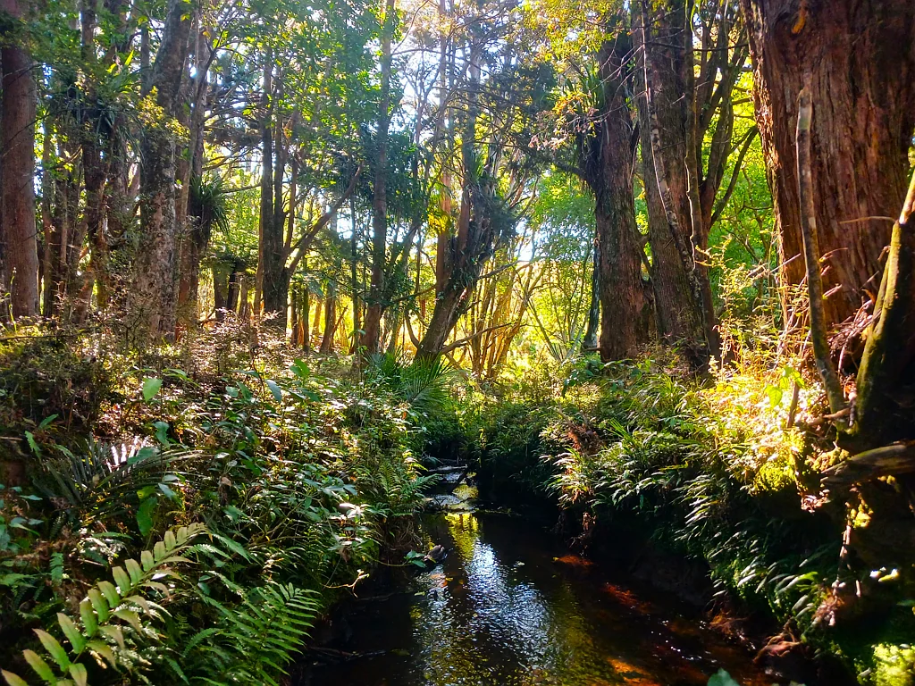 Kerikeri Surrounds A Golden Opportunity!