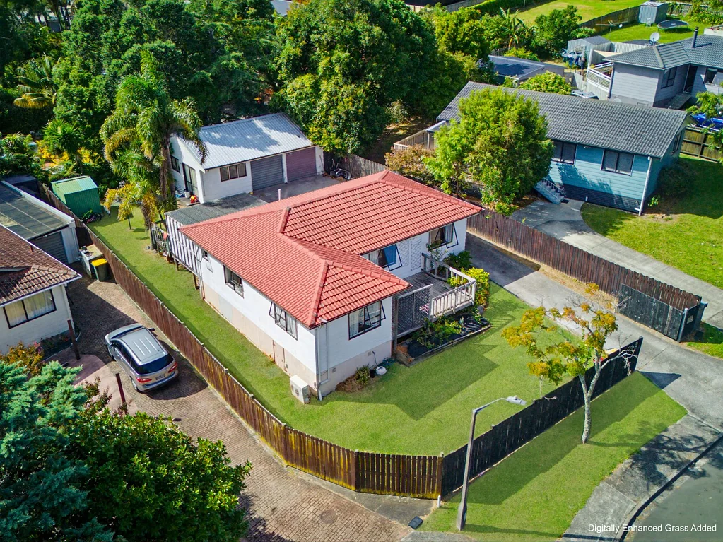 Glen Eden 3 Bedroom Invest, Develop, Landbank???