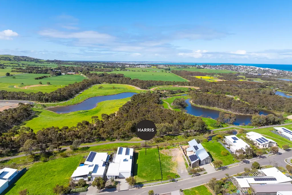 Chiton  Peace, Tranquillity and Open Space in Beyond Estate