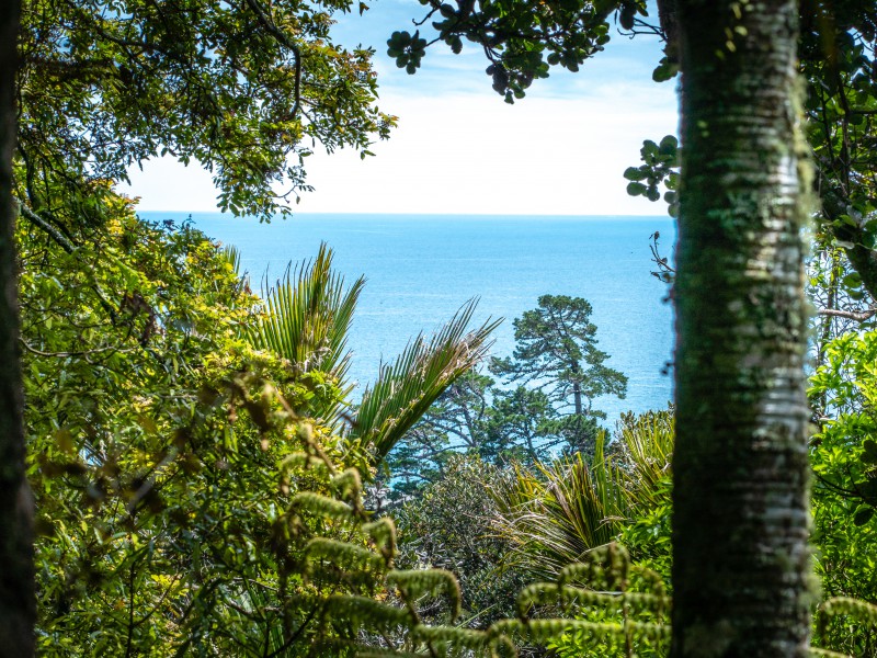 Hauraki Gulf Islands