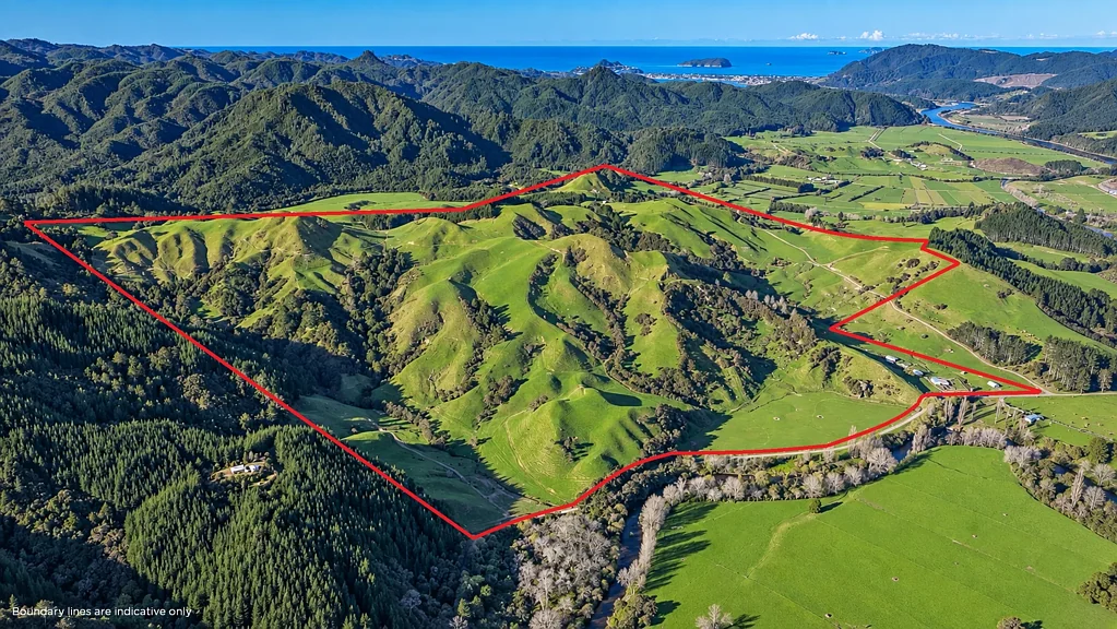 Hikuai 140 years of history - 210ha of Hikuai country