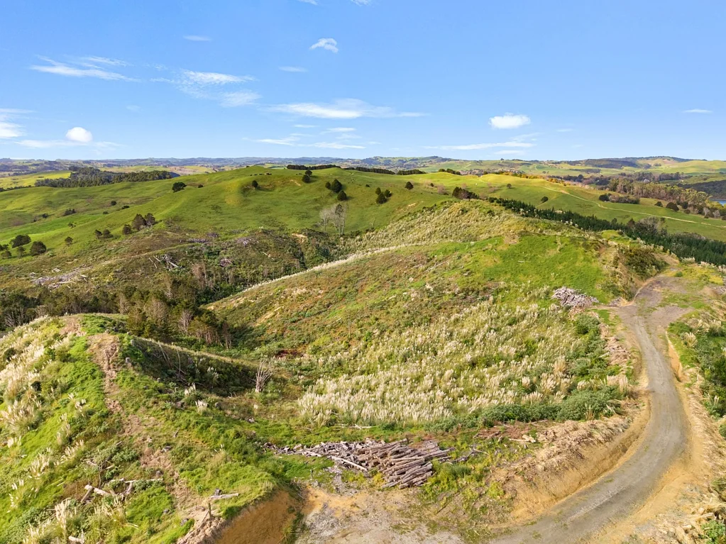 Maungaturoto Raw Land with Rural Reach