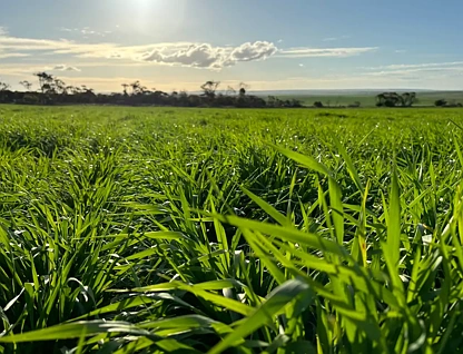 Section 82 Chilmans Road, Port Neill, Outback, 0房, 0浴, Lifestyle Property