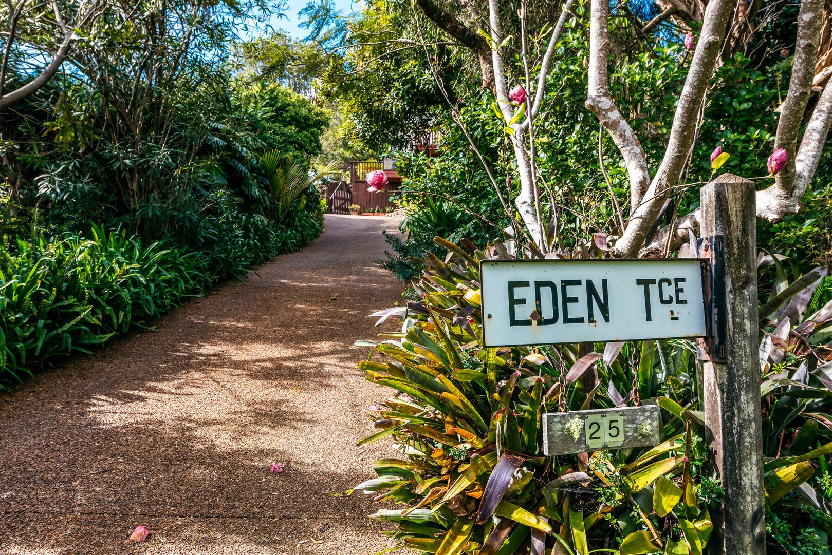 25 Eden Terrace, Onetangi, Auckland, 3 ਕਮਰੇ, 0 ਬਾਥਰੂਮ