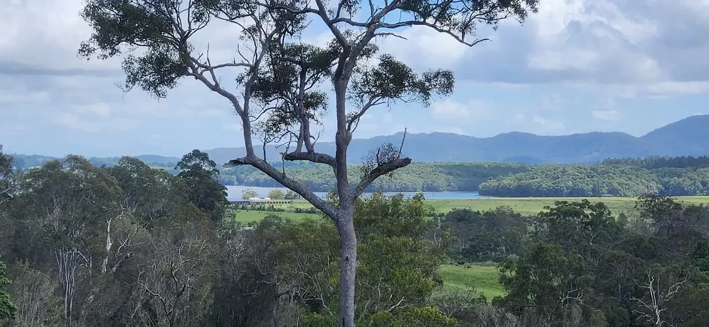 Barrine  28 Acres  I Near Lake Tinaroo  I Permanent Spring I  Privacy with Endless Possibility 



'More Photos Coming Soon!'