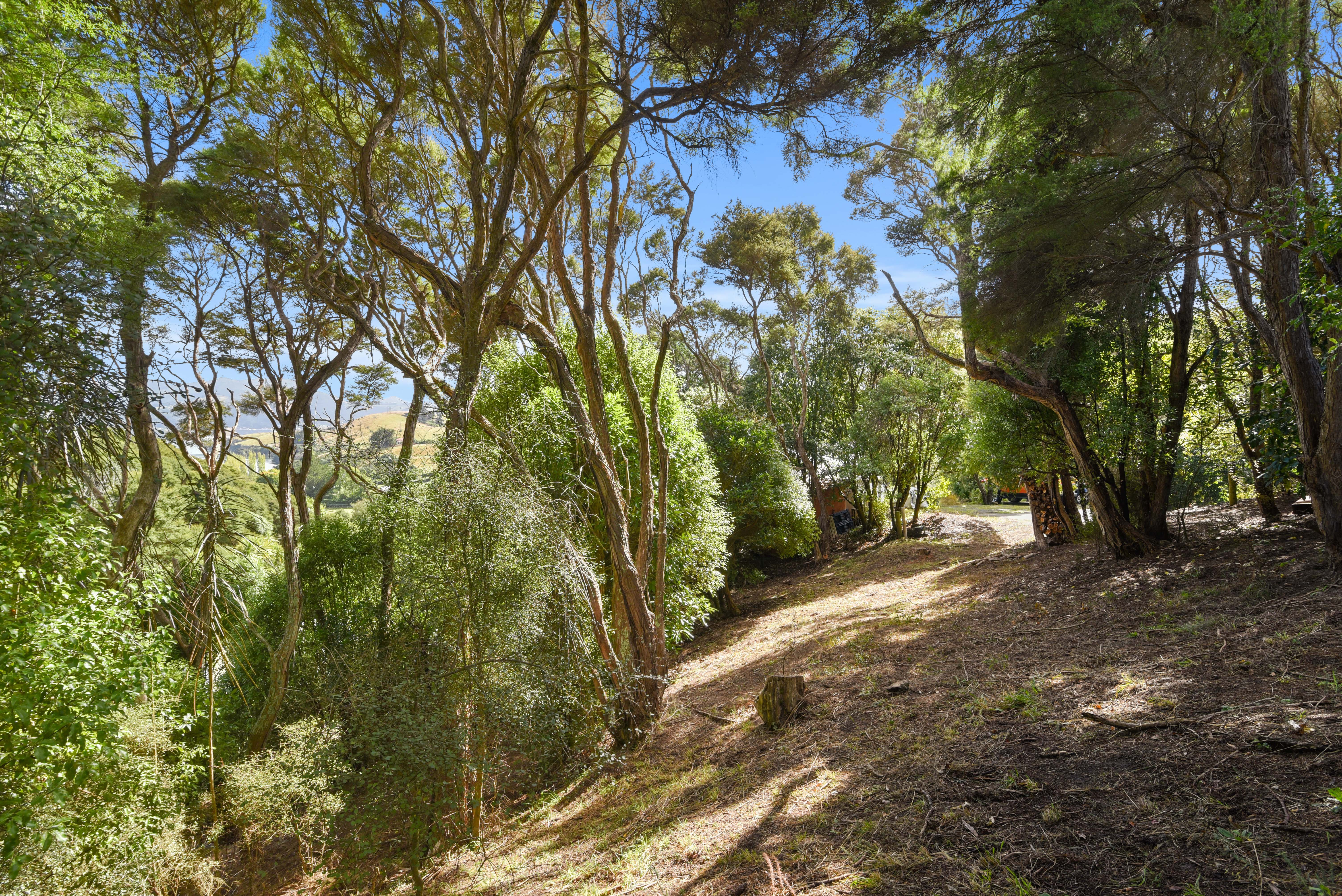 2 Treetop Drive, Portobello, Dunedin, 0 habitaciones, 0 baños, Section