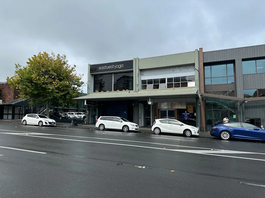 Ponsonby High Profile on Ponsonby Road