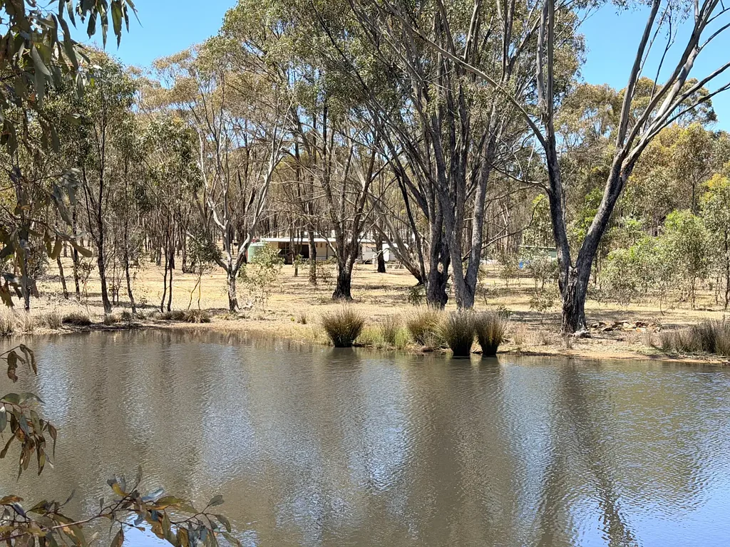 St Arnaud Escape to Your Own 20-Acre Bush Retreat - Rural Living Zoned