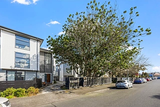 837C Manukau Road, Royal Oak, Auckland City