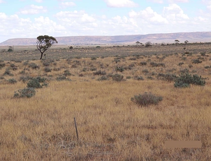 374 Caroona Road, Port Augusta West, Outback, 0 Schlafzimmer, 0 Badezimmer, Section