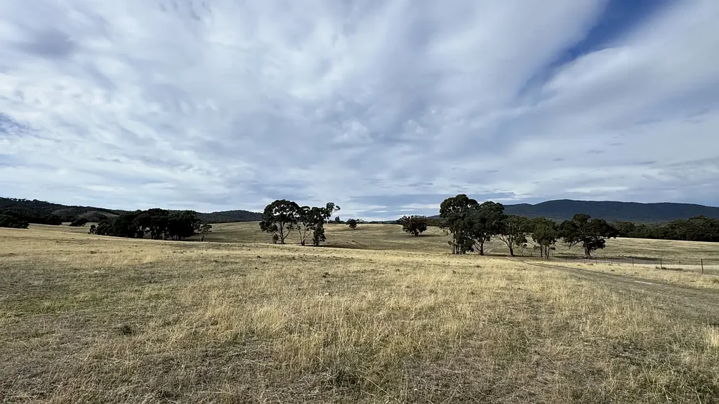 Barkly Pyrenees Acreage Lifestyle Opportunity
