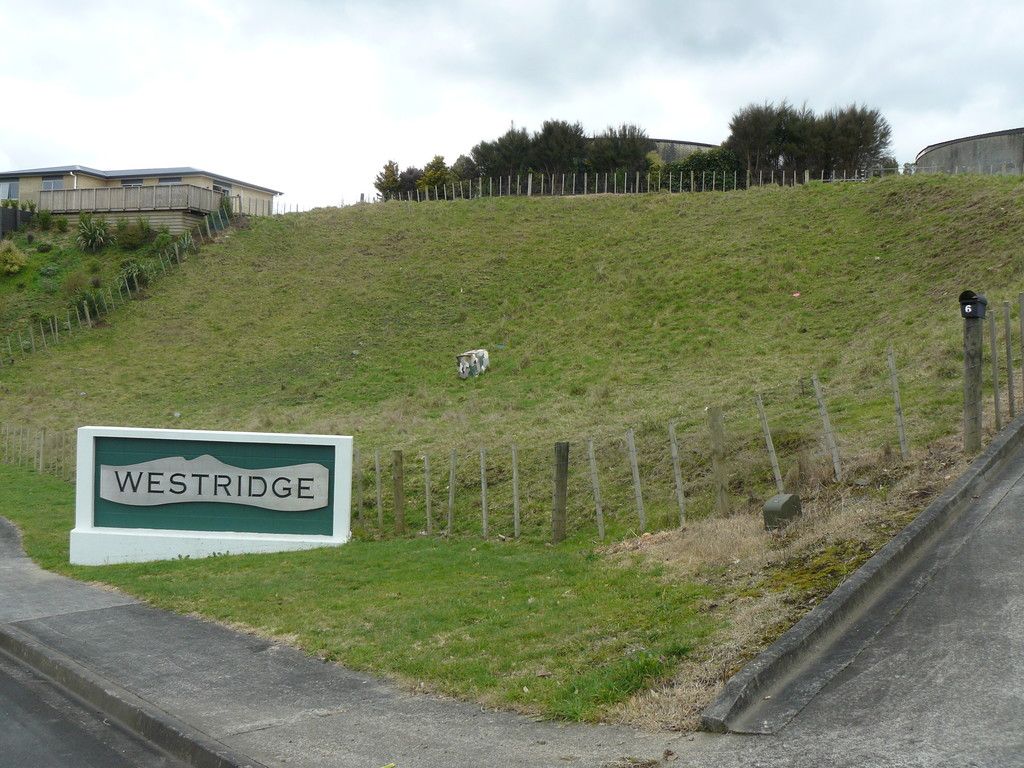 8 Thomson Avenue, Otorohanga, Otorohanga, 0 rūma, 0 rūma horoi