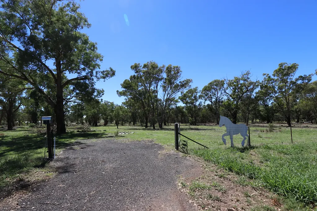 52 BENDICK MURRELL ROAD, Bendick Murrell via, Young, NSW 2594