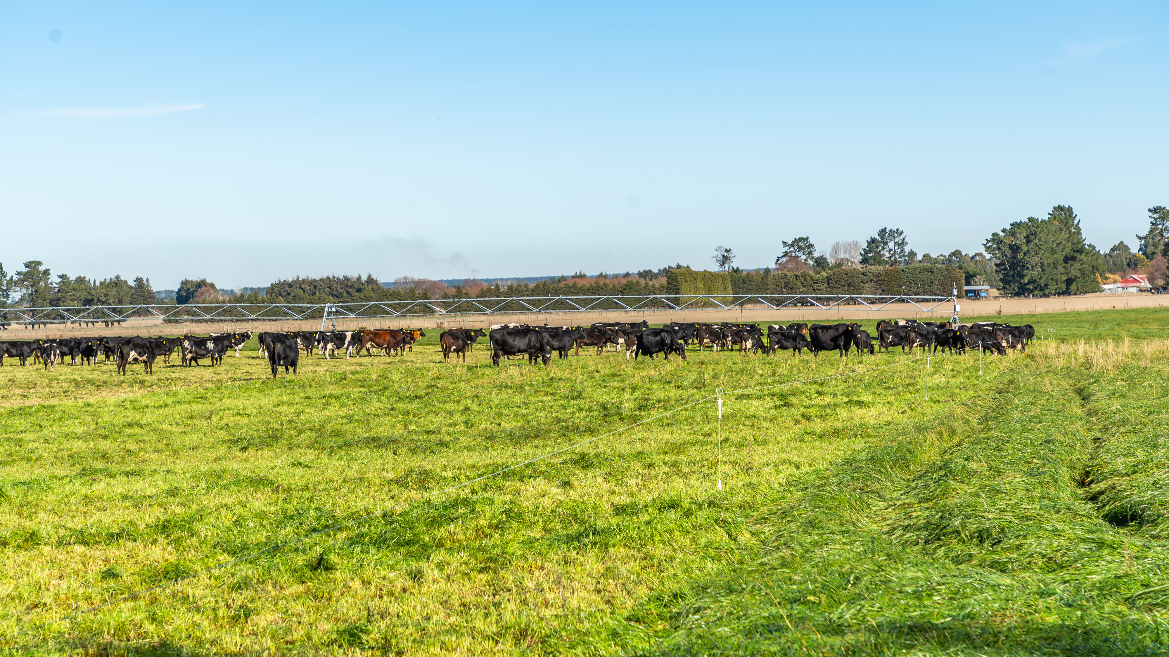 Derretts Road, Hororata, Selwyn, 0 ห้องนอน, 0 ห้องน้ำ, Grazing