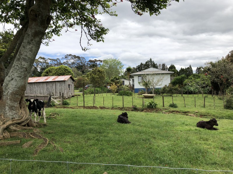 412 Horeke Road, Okaihau, Far North, 0 habitaciones, 0 baños