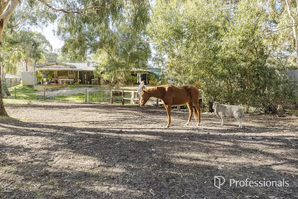 Henley Brook 4房  Valley Retreat - Big Sheds, Stables & Space