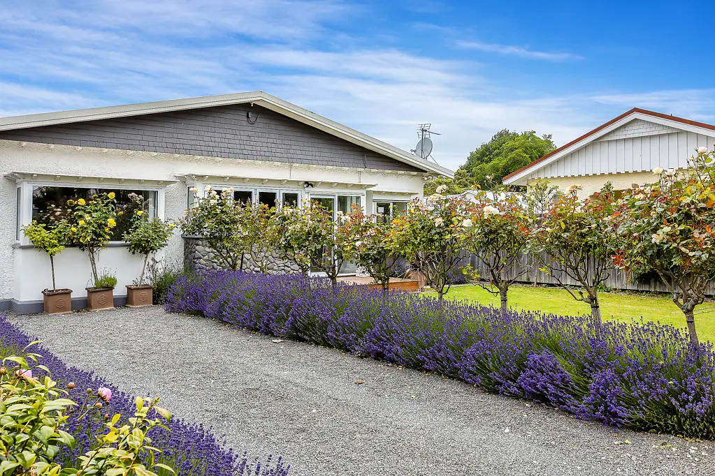 6a Ayers Street, Rangiora, Waimakariri, Canterbury