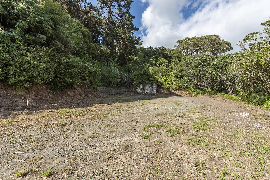 1C Holloway Road, Aro Valley, Wellington