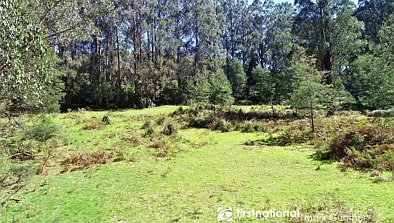 194 Smiths Road, Toolangi, VIC 3777, 0房, 0浴, Lifestyle Property