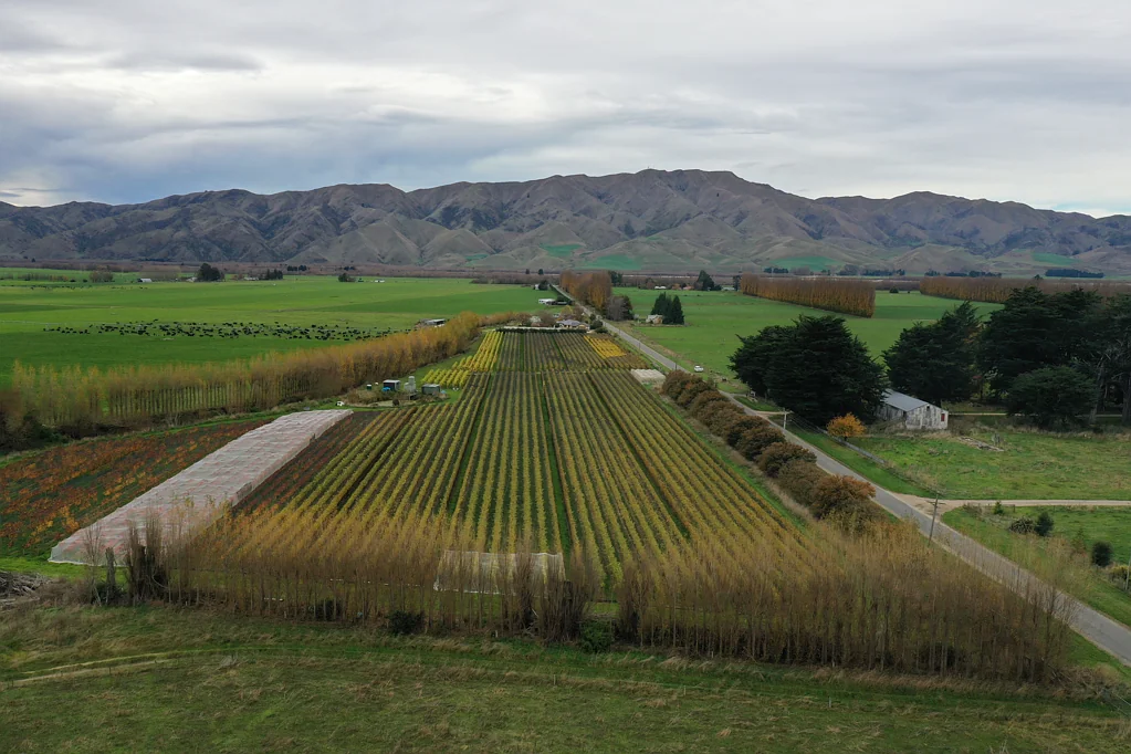 Kurow Unique Lifestyle Options