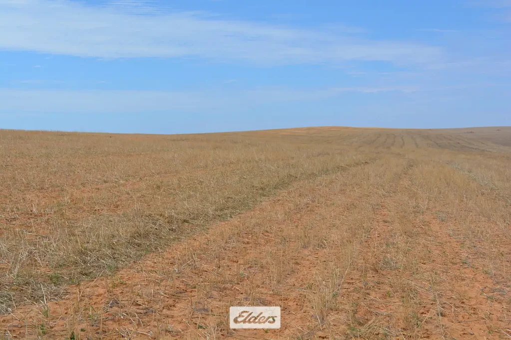 Cowangie Cereal Cropping and Grazing