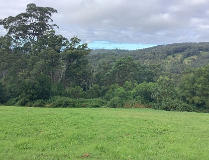 L226 3143 Esk Hampton Road, Ravensbourne, Darling Downs, 0 غرف, 0 حمامات, Section