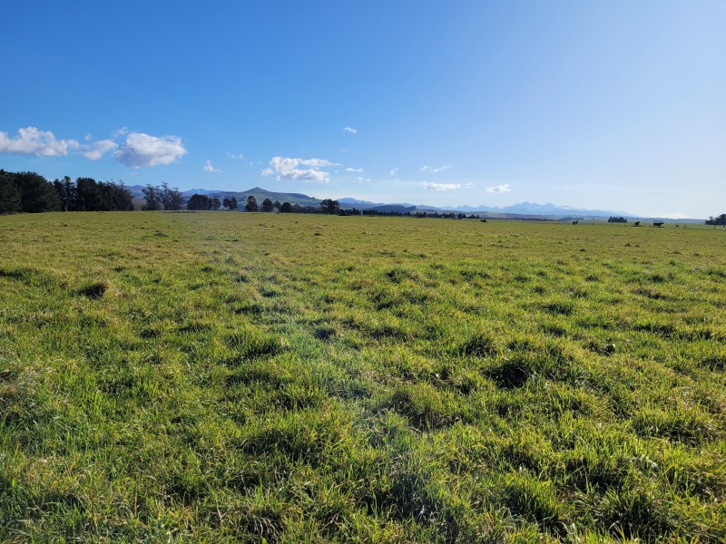 Incholme School Road, Five Forks and Surrounds, Waitaki, 0 Kuwarto, 1 Banyo, Bare Land