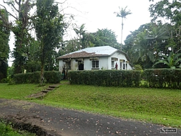 3&5 Sivyer Street, South Johnstone