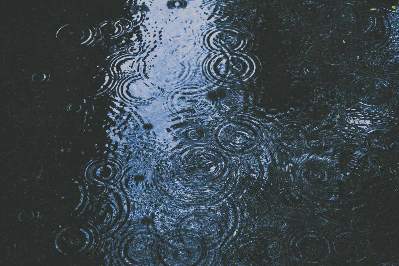 连续降雨27天！奥克兰冬季末周玩“变脸”