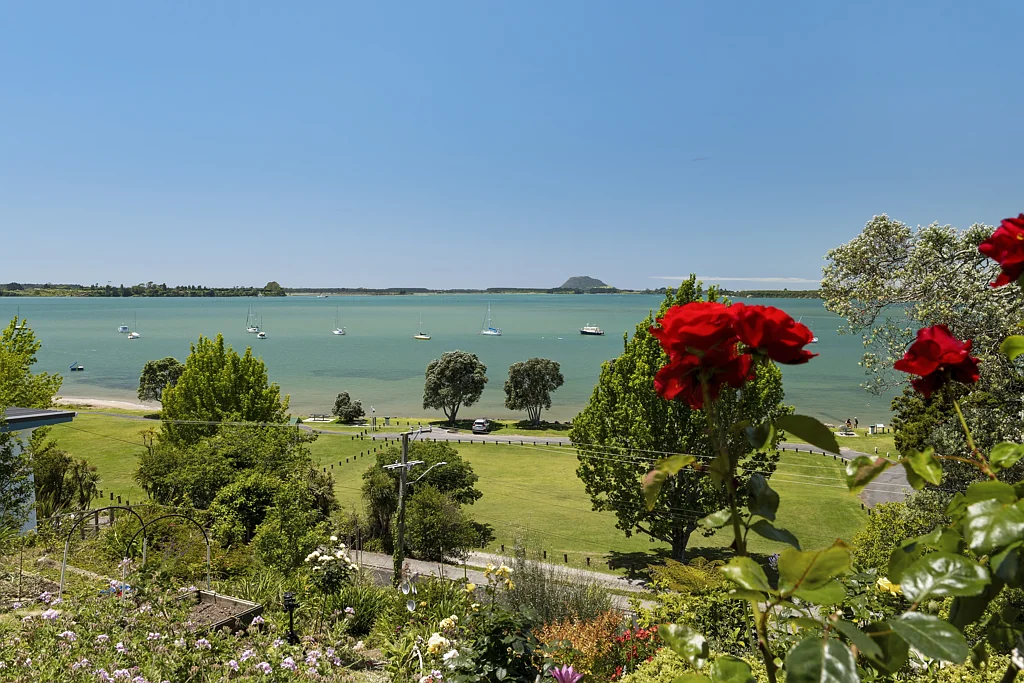Omokoroa Want This View? Build Here.