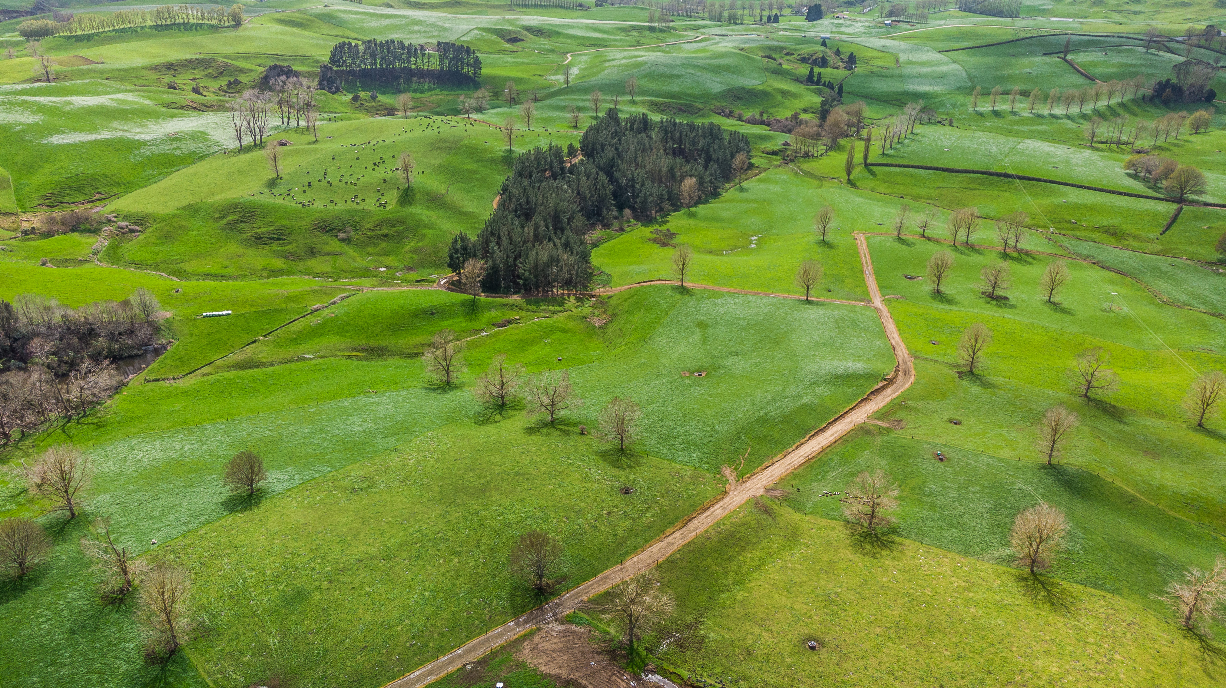 120 Pamotumotu Road, Maihiihi, Otorohanga, 0 ਕਮਰੇ, 0 ਬਾਥਰੂਮ, Dairy