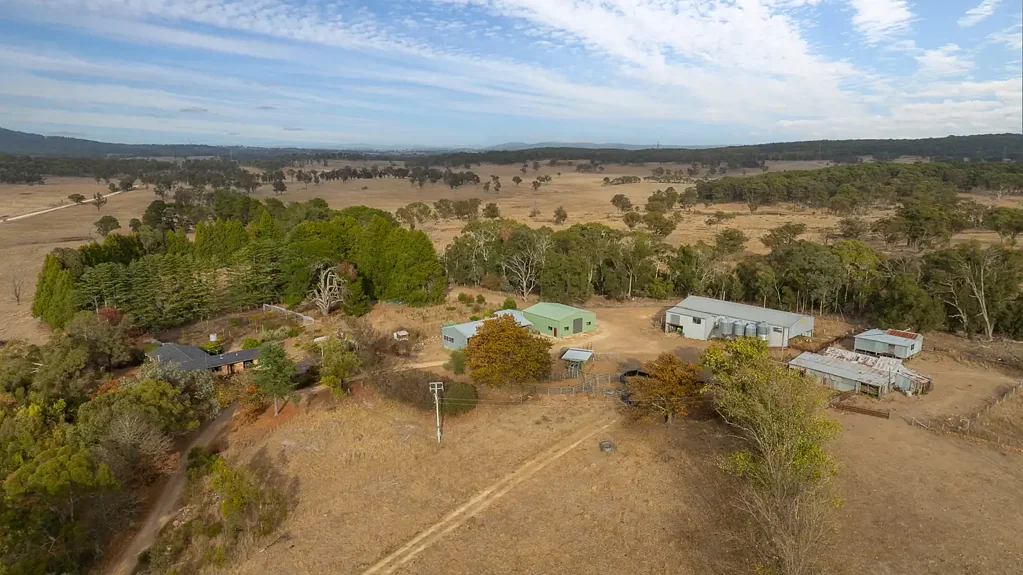 Black Mountain  "Fern Hill" - Hard to Find Scale with a Convenient Location