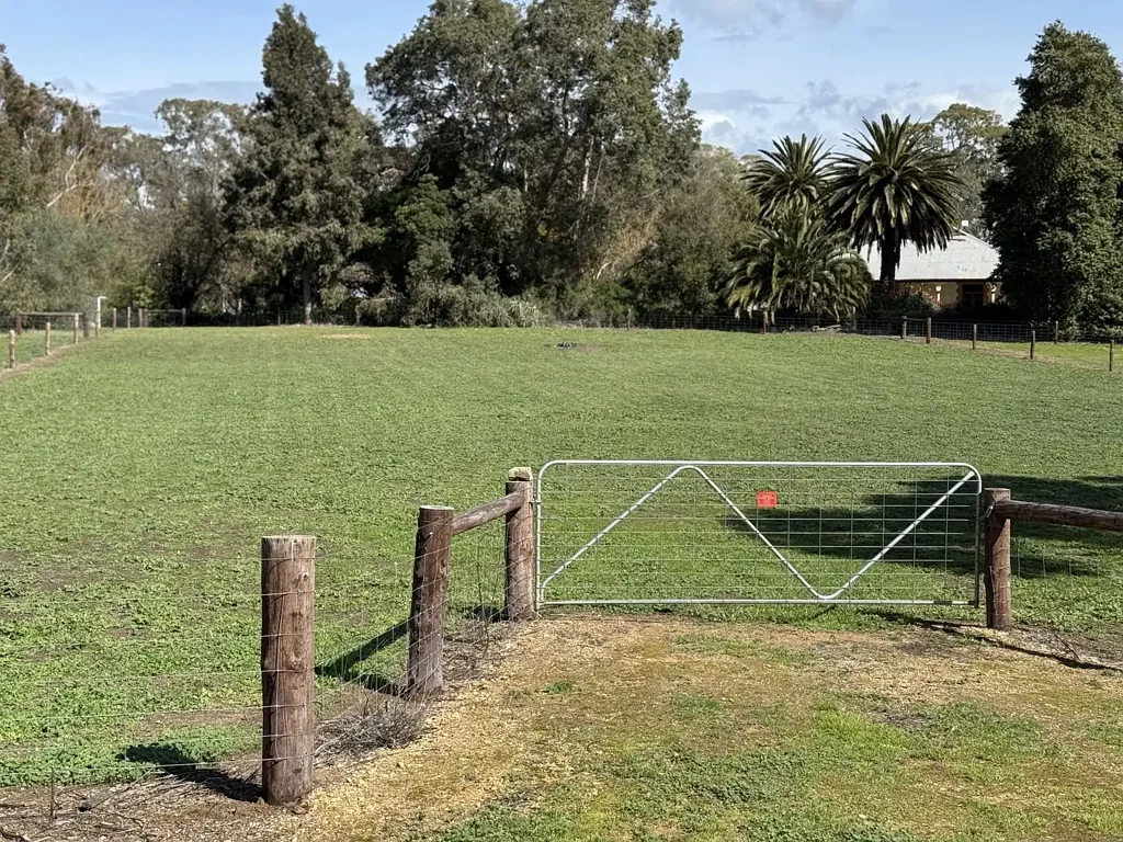 Naracoorte Prime Land Opportunity on 2,778 sqm Build Your Dream Home!