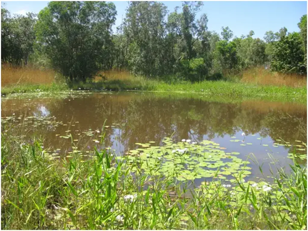 Acacia Hills Darwin Rural Land starting with Acacia Hills living the dream could soon be your reality options include 5 Acres up to 325 Acres.