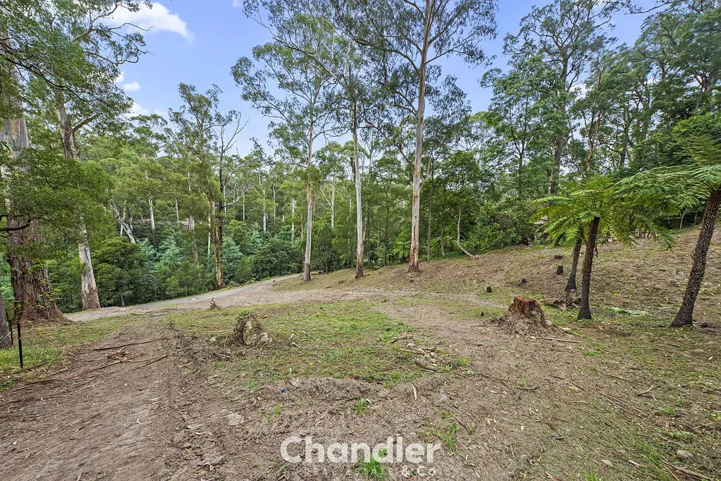 Tecoma 令人惊叹的半英亩以上大地块 Stunning Large ½ Acre Plus Block
