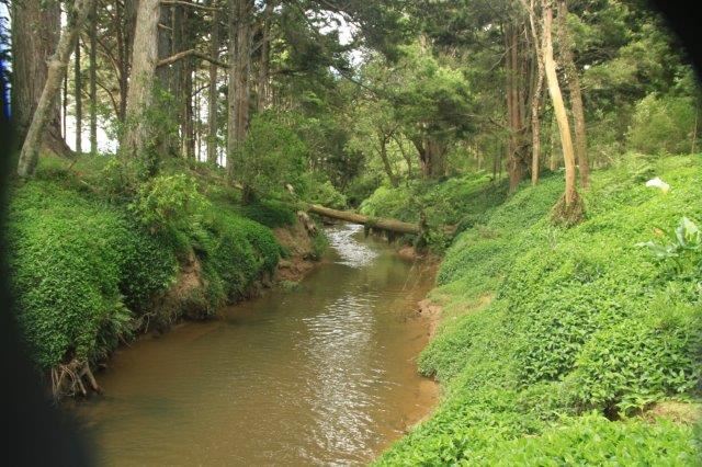 Brooks Road, Waipu, Whangarei, 0 phòng ngủ, 1 phòng tắm