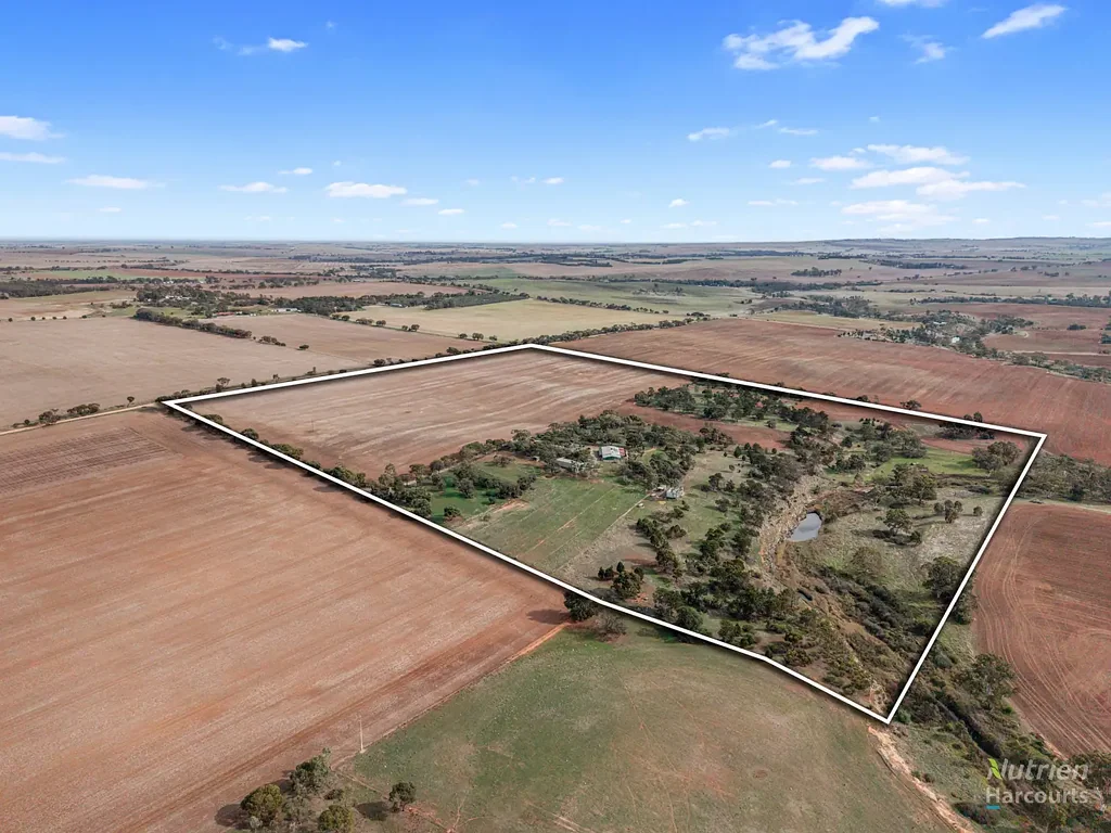 Fords Impressive Lifestyle Property on 66 Acres - Spacious Family Home, Shedding & River