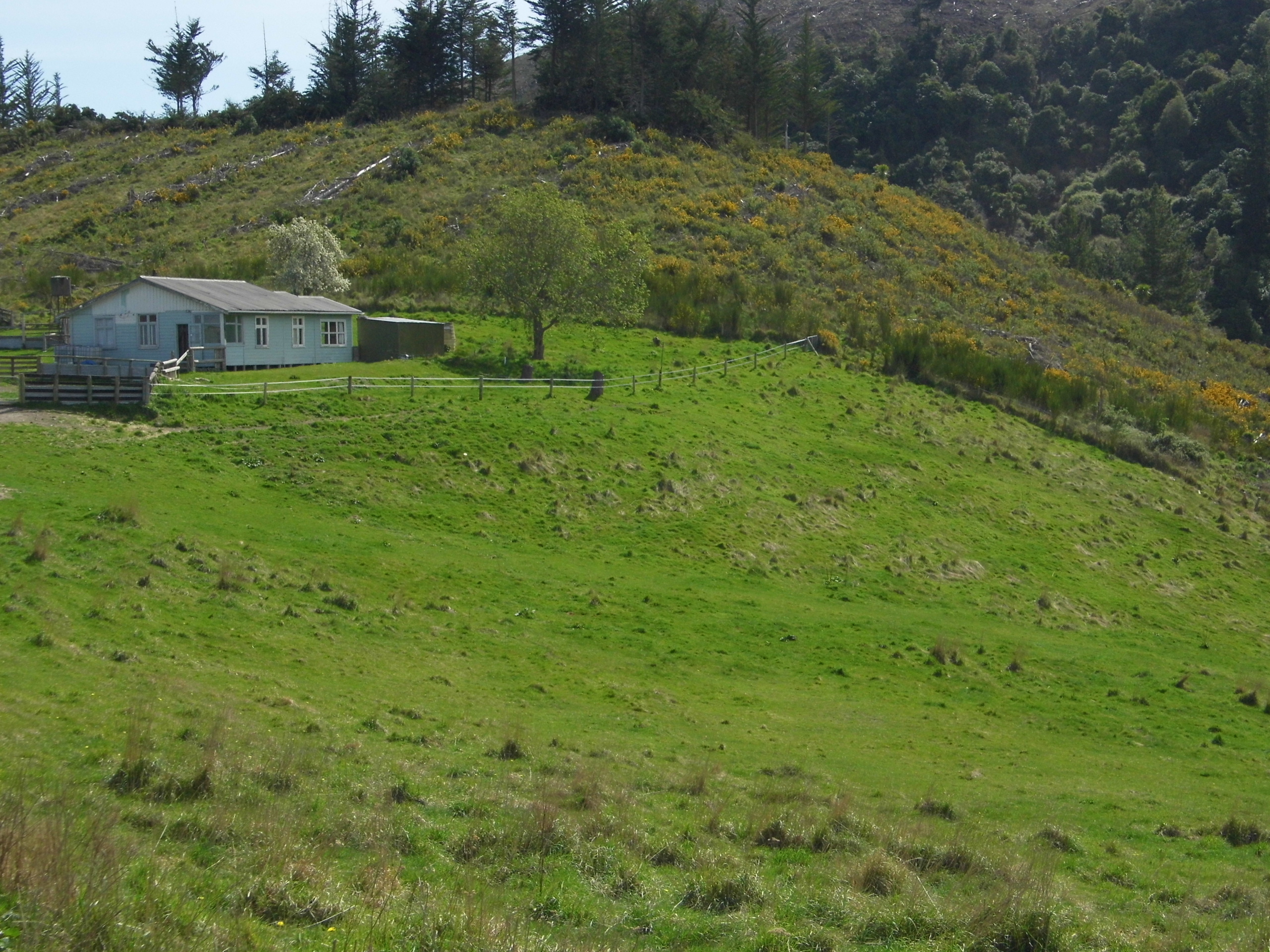 350 Kowhatu Road, Waihaorunga, Waimate, 3 chambres, 1 salles de bain, Lifestyle Property