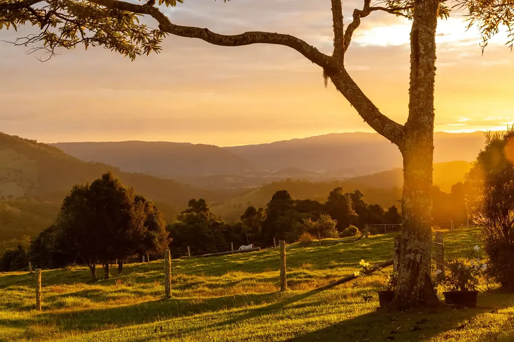 Witta 4ਬੈੱਡਰੂਮ Valley View Retreat - 525 Maleny Kenilworth Road, Witta
