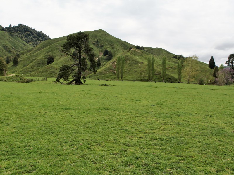 450 Ramaroa Road, Aria, Waitomo, 3 રૂમ, 0 બાથરૂમ