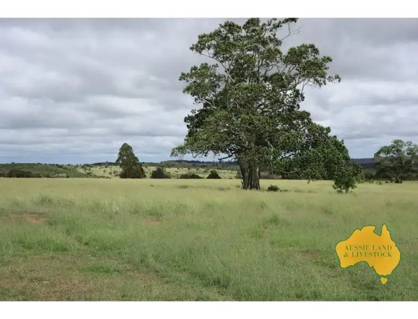 1377 Dangore Mountain Road, Dangore, Wide Bay, 4 ਕਮਰੇ, 1 ਬਾਥਰੂਮ, Lifestyle Property