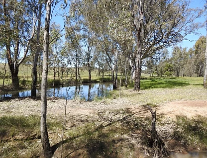 LOT CA 61, Sec A Paynters Road, Violet Town, Wangaratta, 0 ਕਮਰੇ, 0 ਬਾਥਰੂਮ, Lifestyle Property