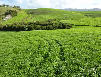 地址保密, Matakana, Rodney, 0 ਕਮਰੇ, 0 ਬਾਥਰੂਮ, Section